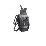 Cool fox