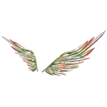 Coral Wings