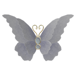 Covering Mouth Butterfly in White