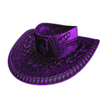 cowboy