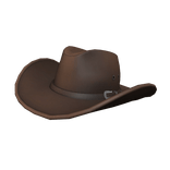 Cowboy Hat