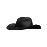 ☆ Cowboy Hat in Black