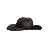 ☆ Cowboy Hat in Brown