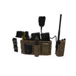 Coyote Brown Law Enforcement Setup