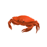 Crab Suit