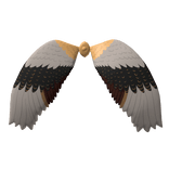 Crane Bird Wings