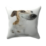 Crazy Dog Pillow