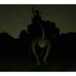 Creepy Creature Dark Scary Horror Cursed Image