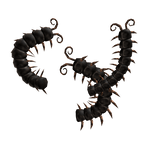 Creepy Cute Weirdcore Giant Centipedes (Back)