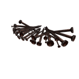 Creepy Rusty Nails on neck