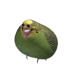 Creepy Smiling Parrot 