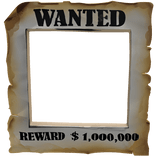 Criminal Wanted Sign 