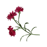 Crimson  test