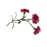 CRIMSON_TEST