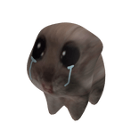 Crying hamster