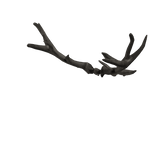Cursed Antler