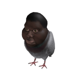 CURSED PIGEON