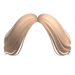 Curtain Bangs in Blonde