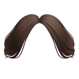 Curtain Bangs in Brown