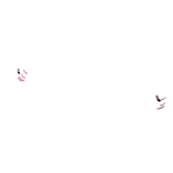 Curved It-Girl Nails (Black French)