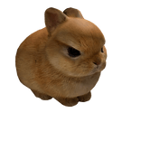 Cute angry bunny