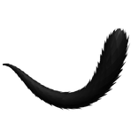 Cute Black Fluffy Tail