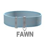 cute blue fawn collar 3.0