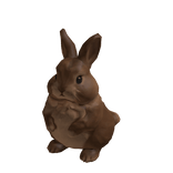 Cute Brown Bunny Rabbit Suit