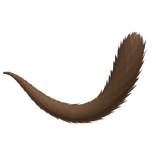 Cute Brown Fluffy Tail