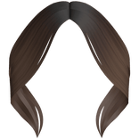 Cute Curtain Bangs (Brown)