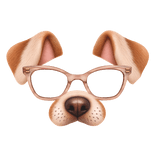 Cute Dog Filter with Pink Glasses