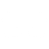 ♡ Cute Flared Sticker Angel Wings in White