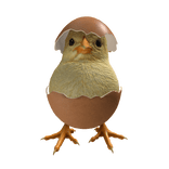 Cute Fluffy Chick Piu Piu