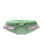 Cute Frog Summer Floatie