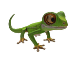 Cute gecko right shoulder pet 