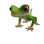 Cute gecko sitting on head 