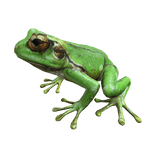 Cute Green Frog Left Shoulder Pet 