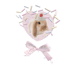 cute kawaii bunny heart granulated