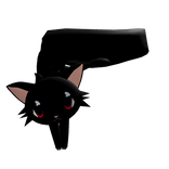 ♡ cute matching black cat scarf