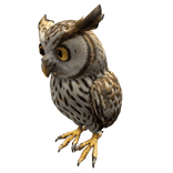 Cute Owl Left Shoulder Pet 