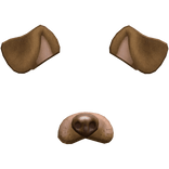 Cute Puppy Dog Face Filter