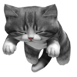 Cute Sleeping Cat Kitten on Head - Grey [3.0]