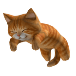 Cute Sleeping Cat Kitten on Head - orange/ginger