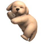 Cute Sleeping Dog Puppy - Golden [3.0]