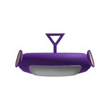 Cute Tinky Winky Tubbies Floaty