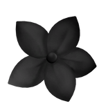 🤍 cute tropical summer flower black