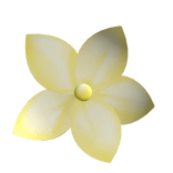 🤍 cute tropical summer flower yellow