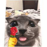 Cute Tung Rose Cat