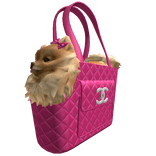 Cutecore Cutesy pink purse cute dog kawaii