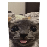 cutesy meow cat cape